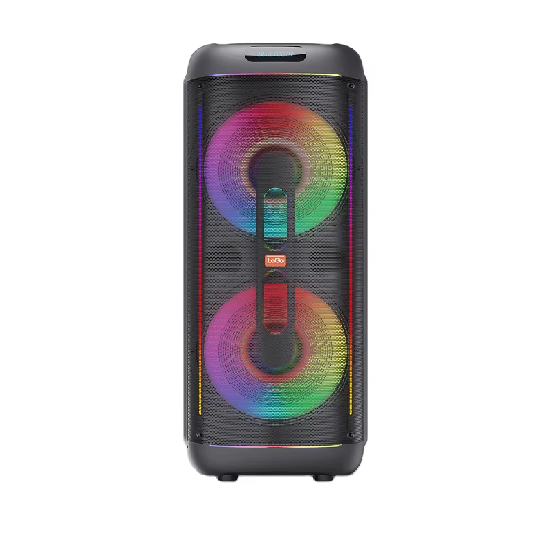 Enceinte de Scène Professionnelle d'Extérieur 1500W