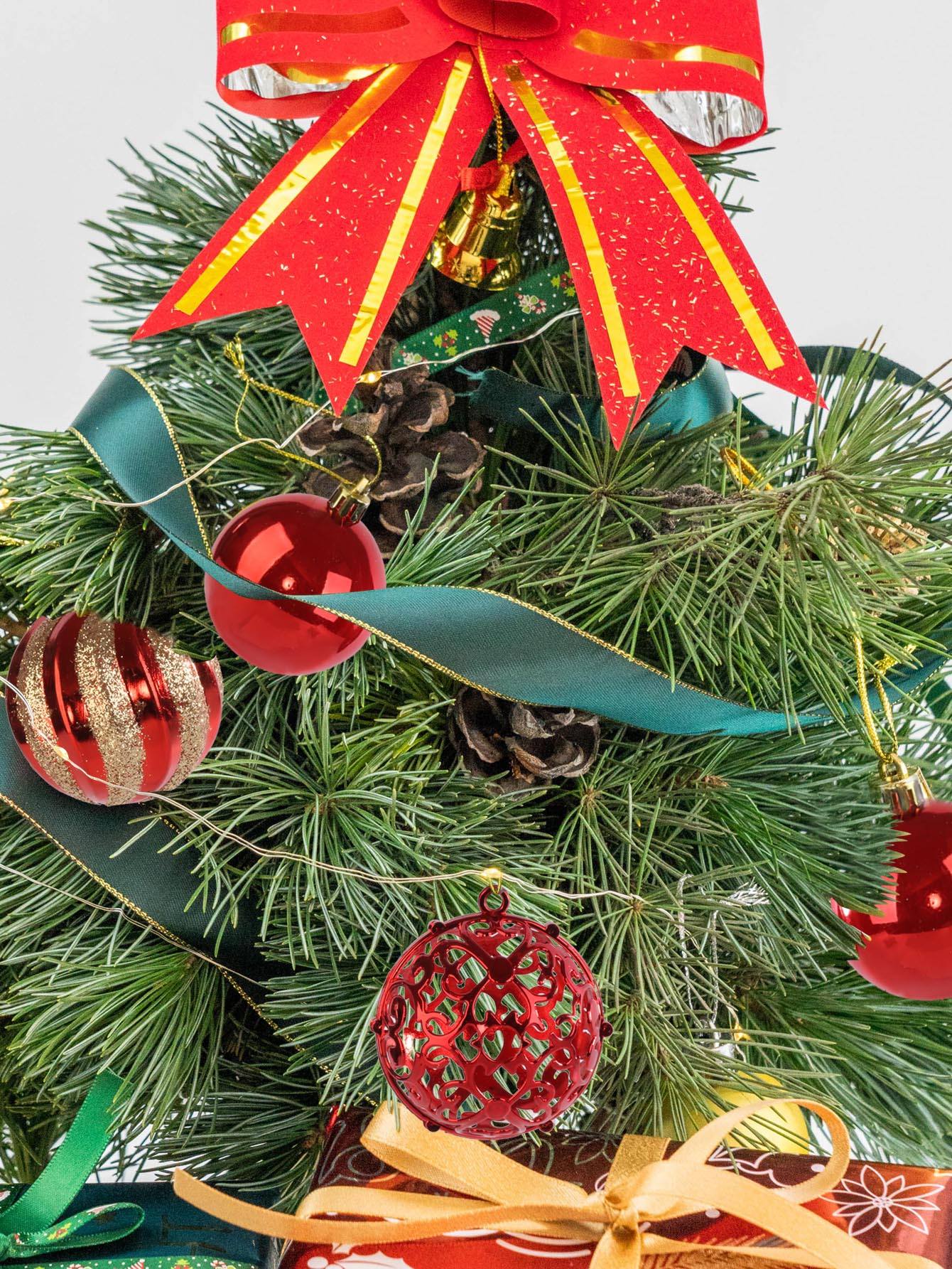 Boules de Noël(12)