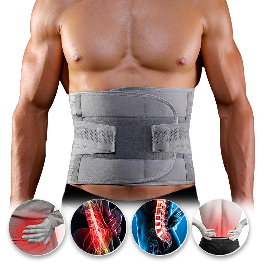 Attelle de soutien dorsal