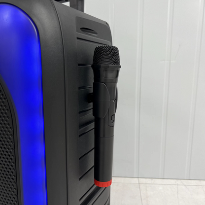 Enceinte Trolley 12 Pouces avec 2 Microphones