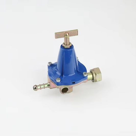 Régulateur de Pression de Gaz B12